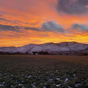 Back to the Land with Old West Hemp Back to the Land with Old West Hemp