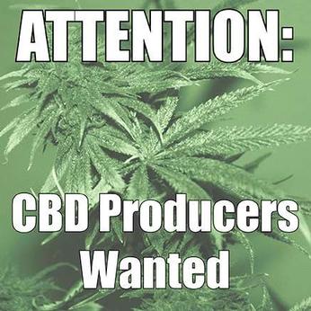 CBD Producers Wanted CBD Producers Wanted