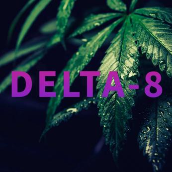 What is Delta-8 Cannabis & Does it Have THC? What is Delta-8 Cannabis & Does it Have THC?