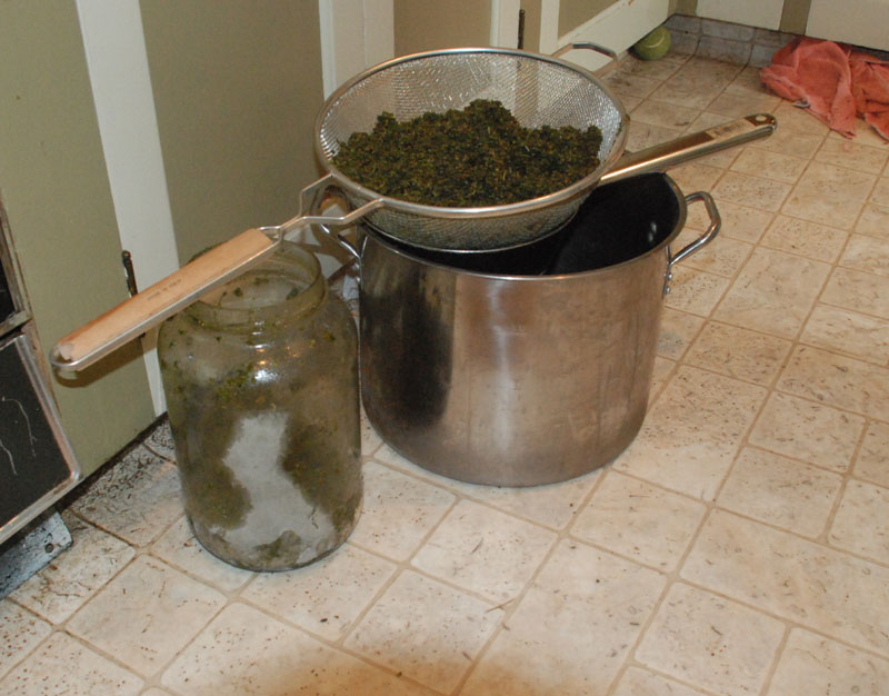 Quick strain-1