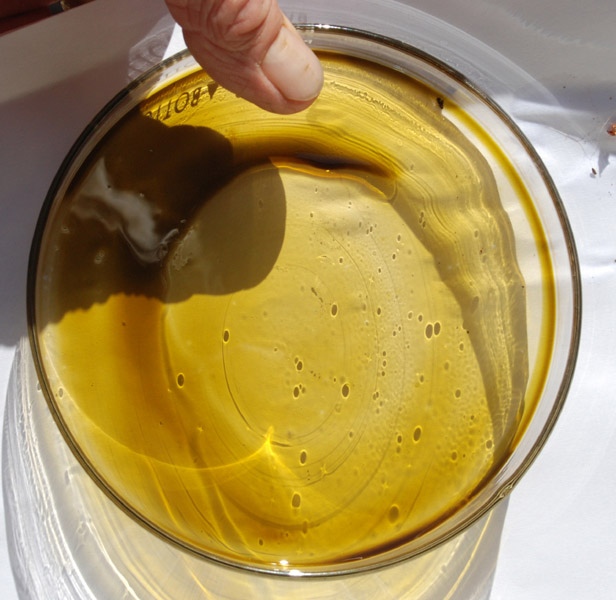 Hexane Honey Oil